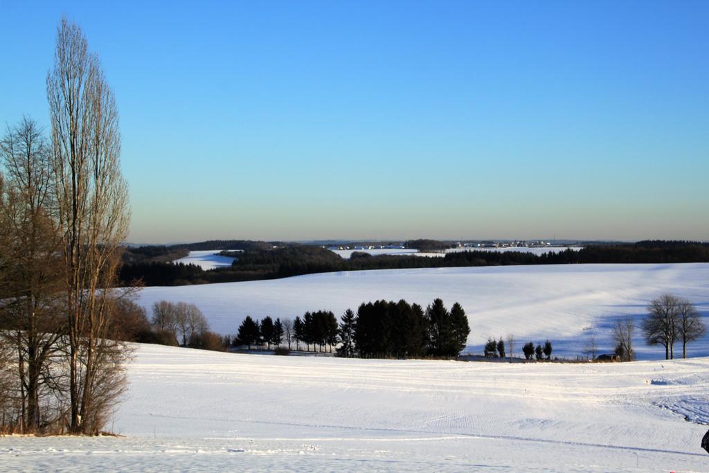 Ferienwohnungen Eifelblick Lutzerath Luaran gambar
