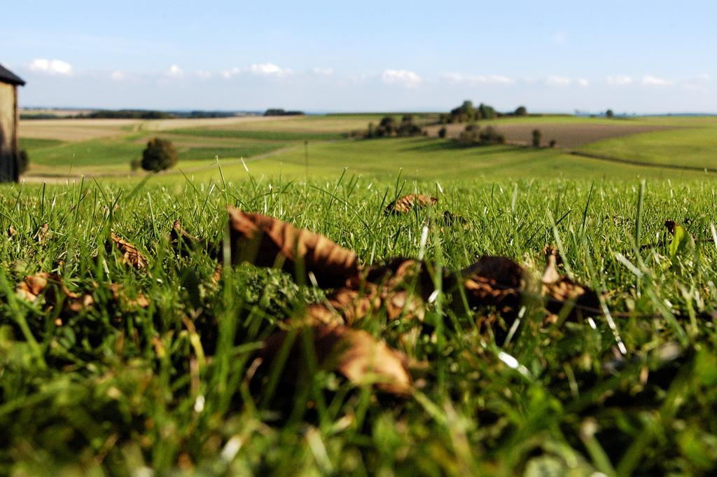 Ferienwohnungen Eifelblick Lutzerath Luaran gambar